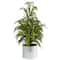 20" Unlit Cedar Pine Artificial Potted Christmas Tree